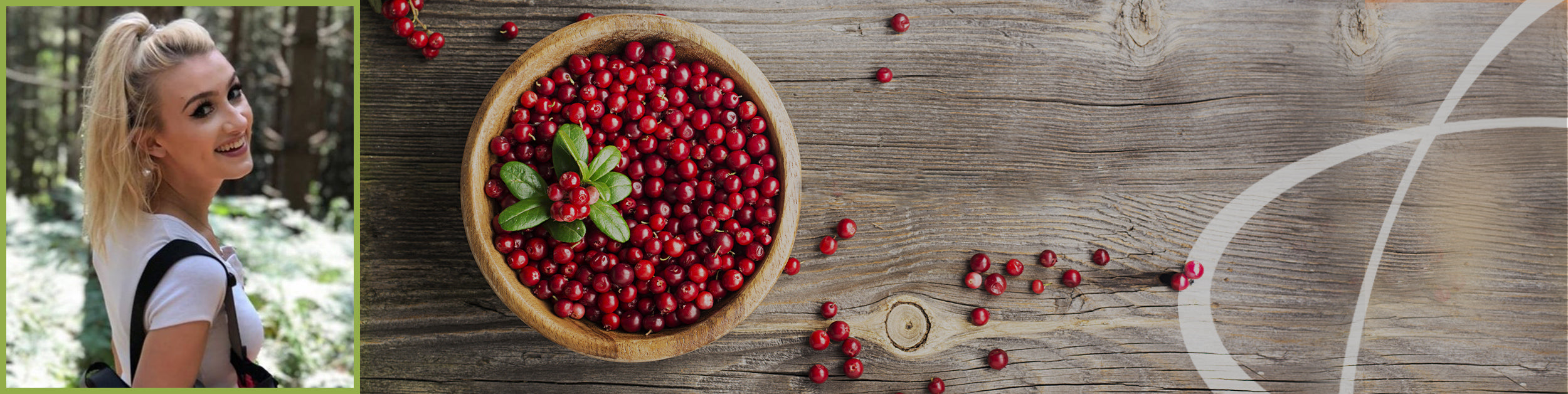 Cranberry Health Benefits, Cranberry Supplement, Vytaliving Articles.