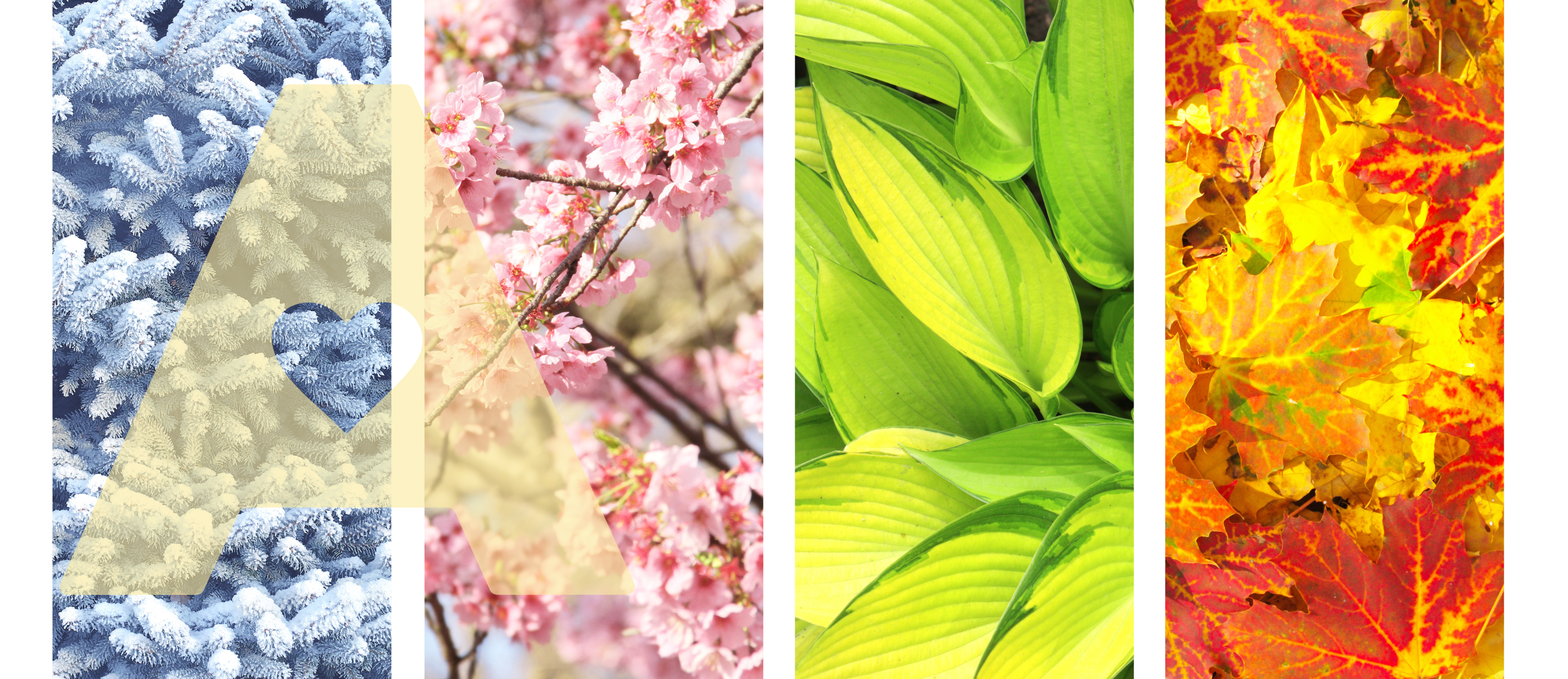 Seasonal Affective Disorder: Feeling SAD