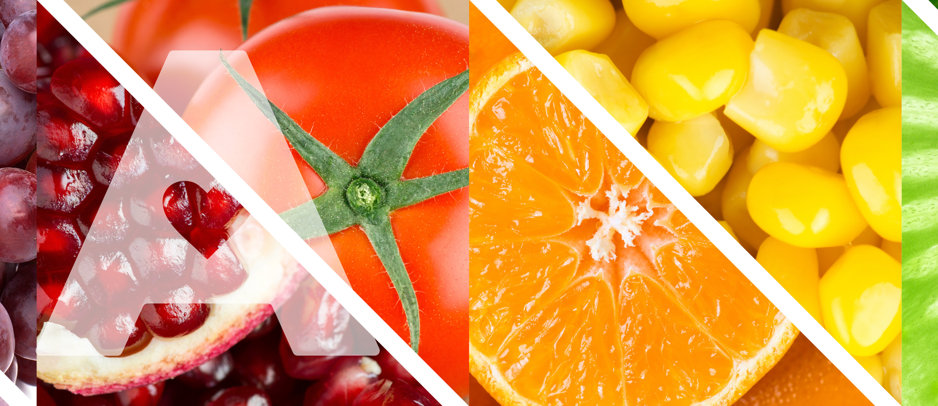 It’s World Vegan Day!