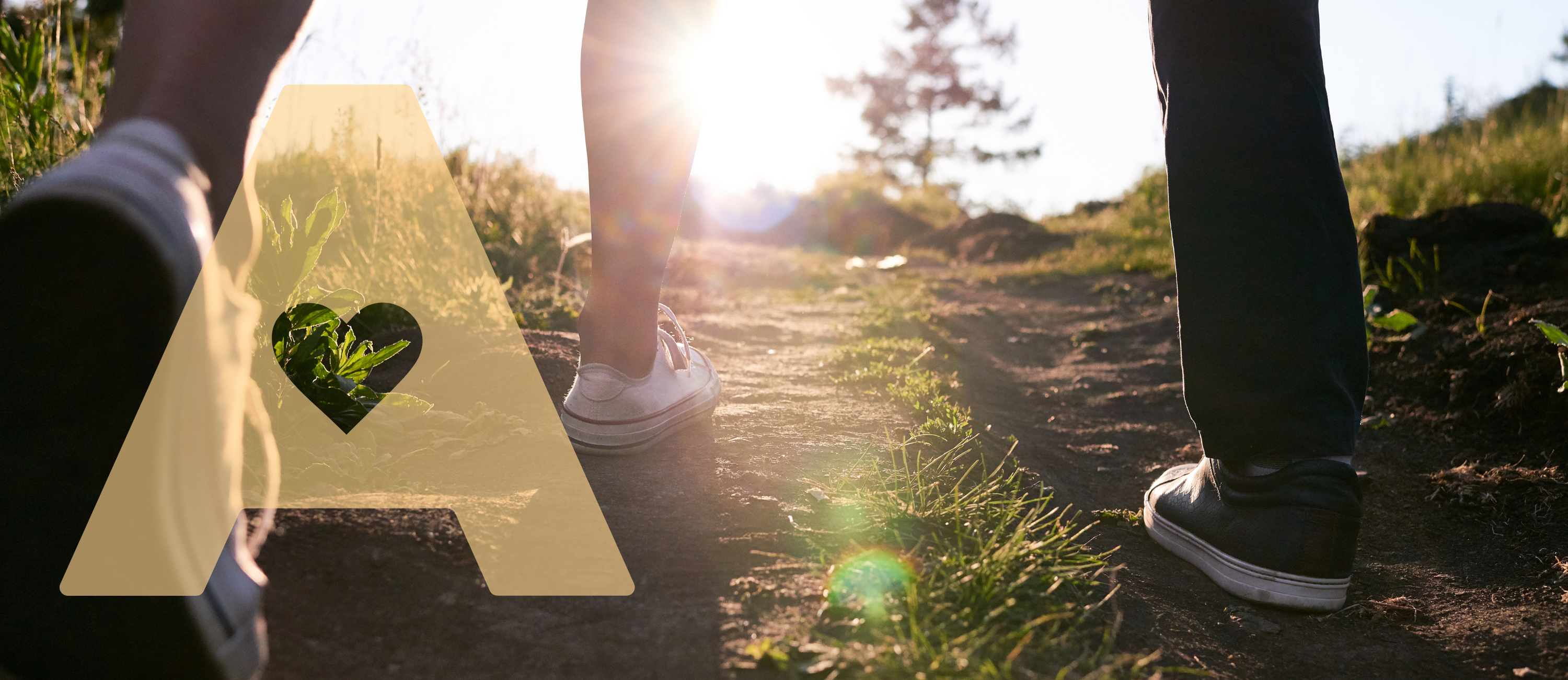 The Health Benefits of Walking