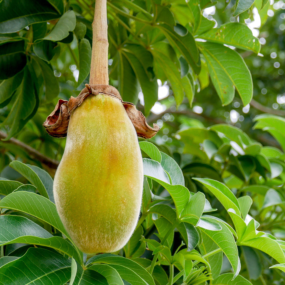 Agility Health Solutions