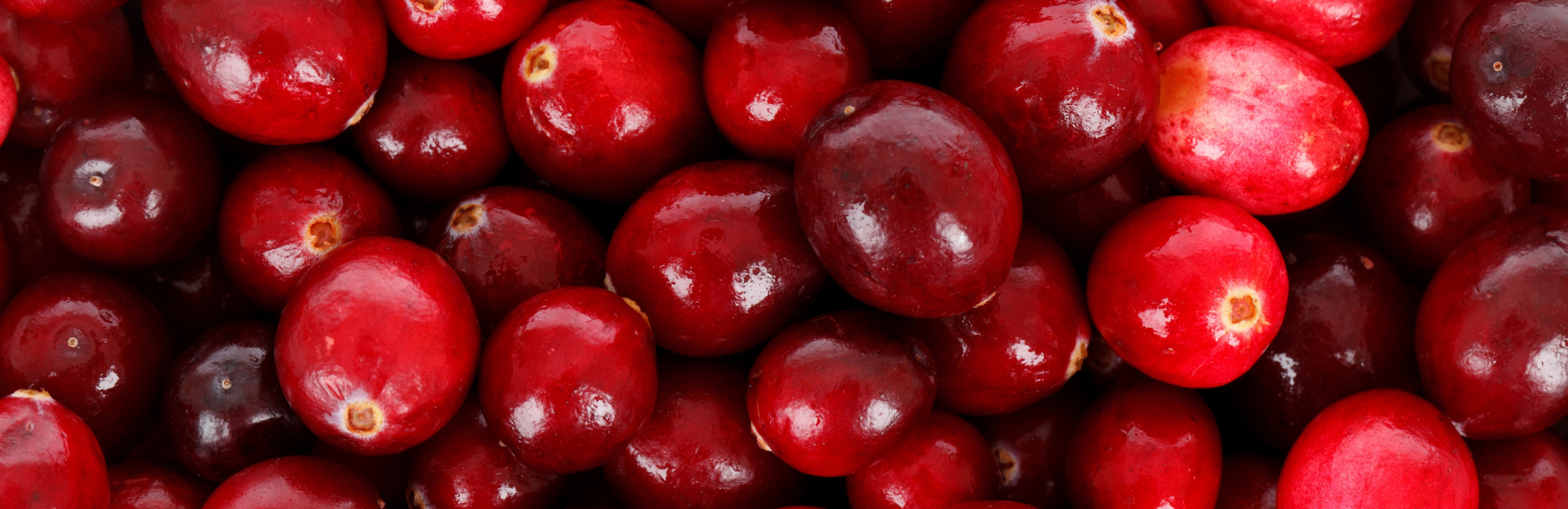 Agility Health Solutions