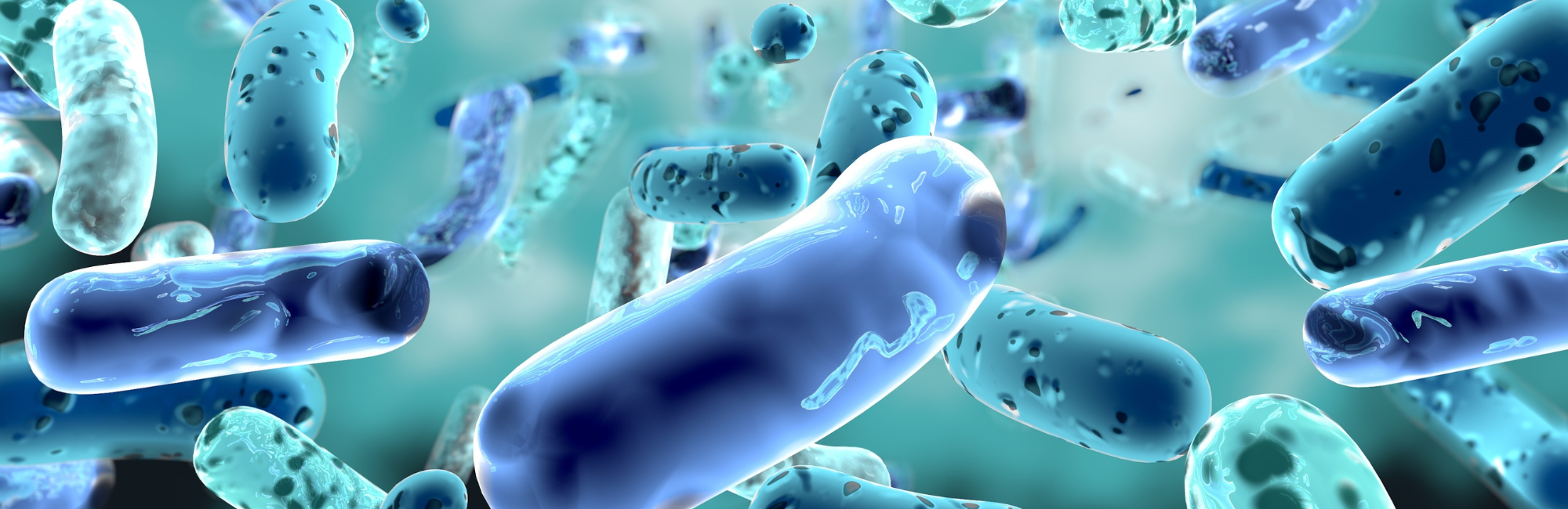 Agility Health Solutions