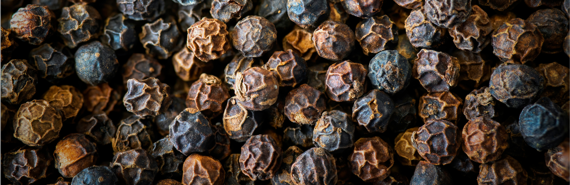 Agility Health Solutions