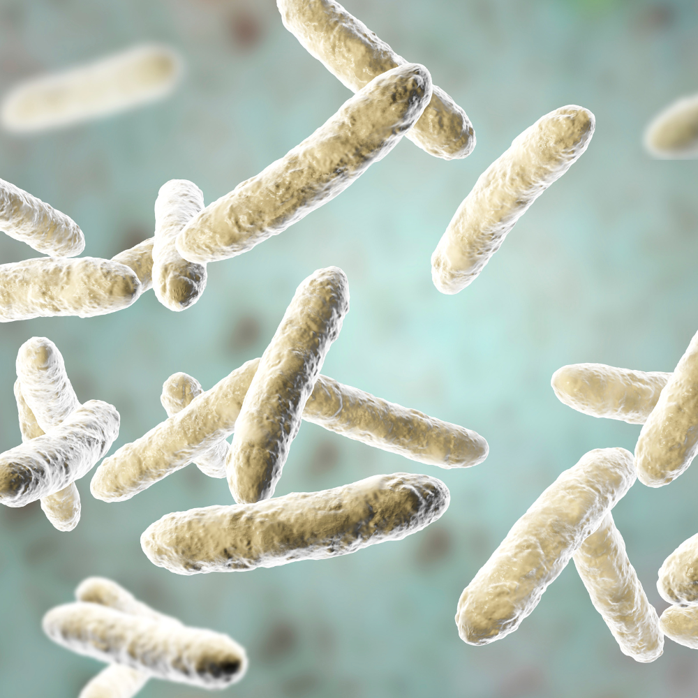 Agility Health Solutions