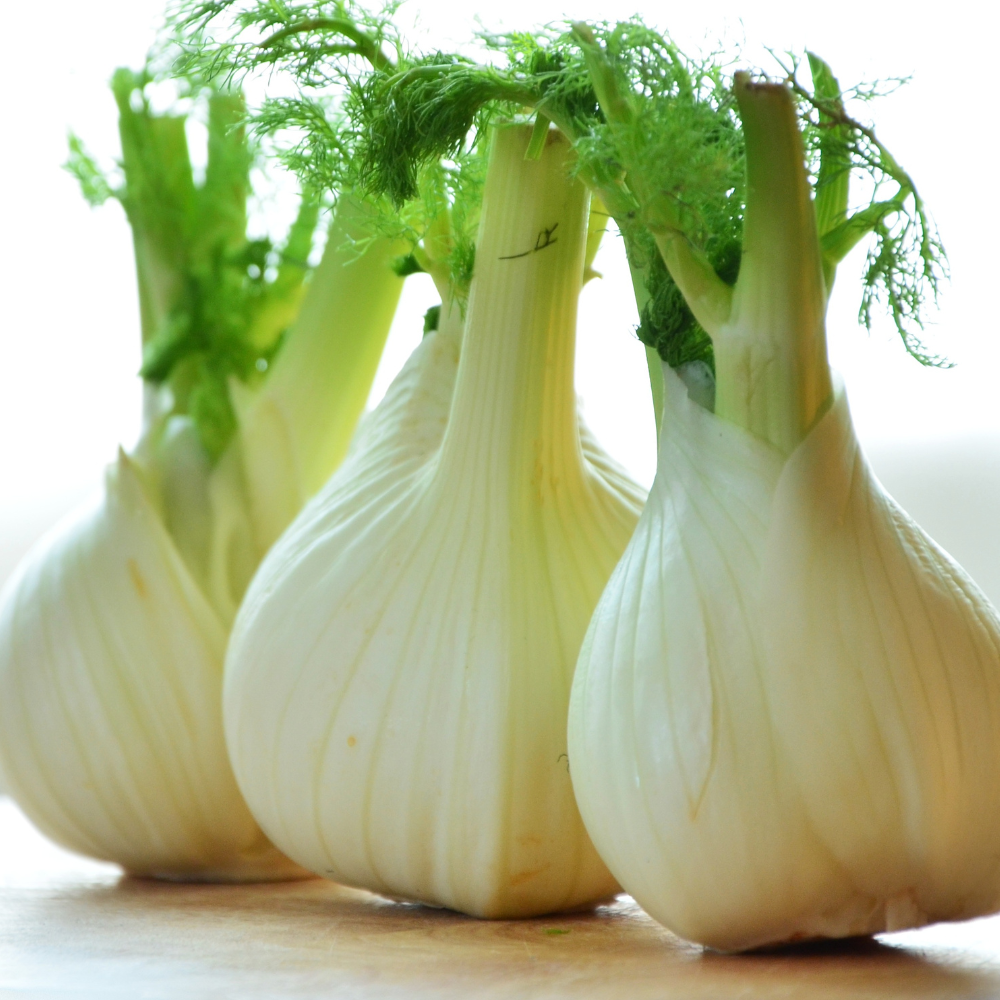 Agility Health Solutions