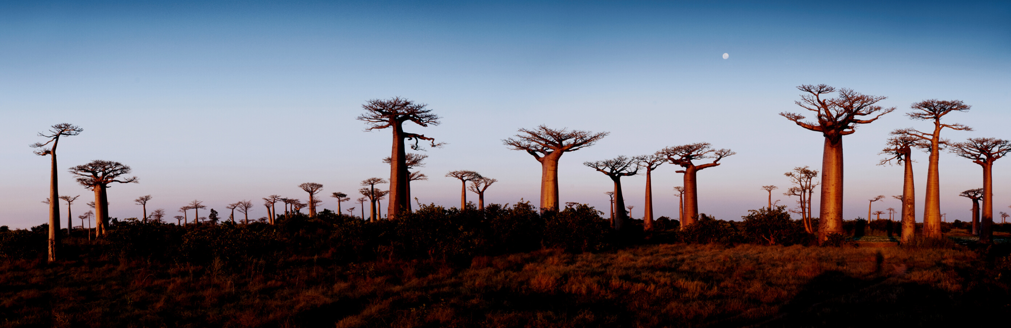 Agility Health Solutions