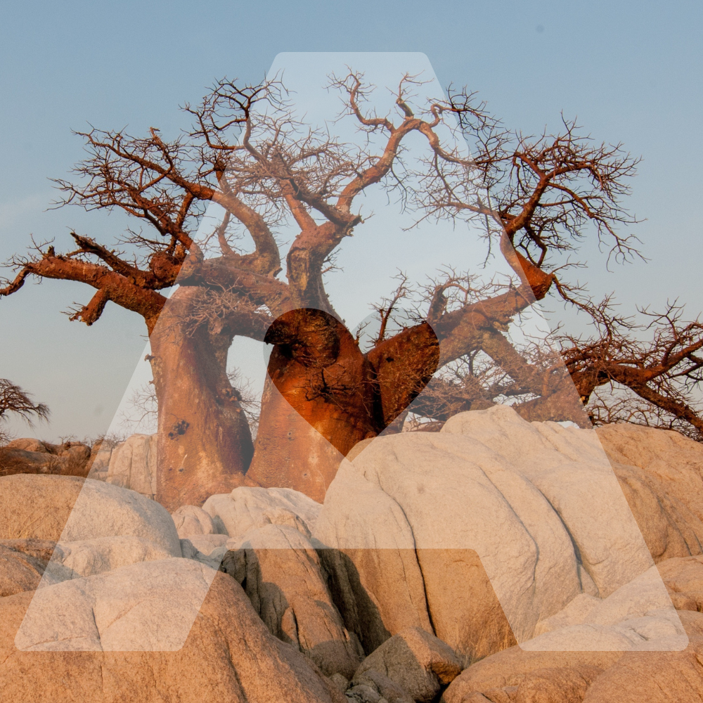 Agility Health Solutions