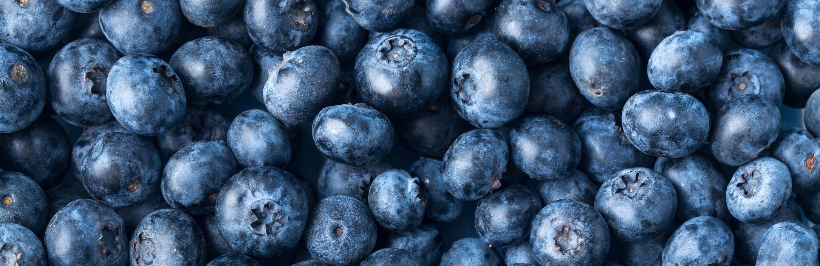 Agility Health Solutions