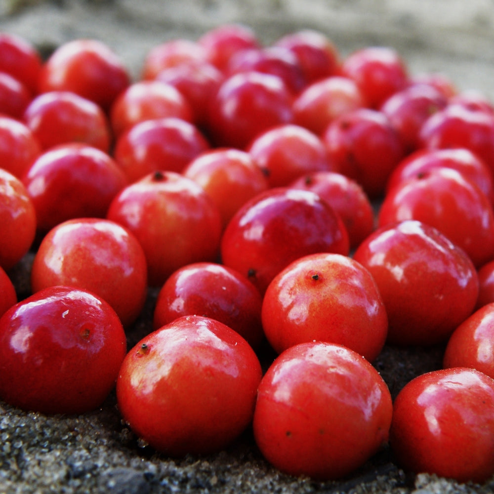 Agility Health Solutions