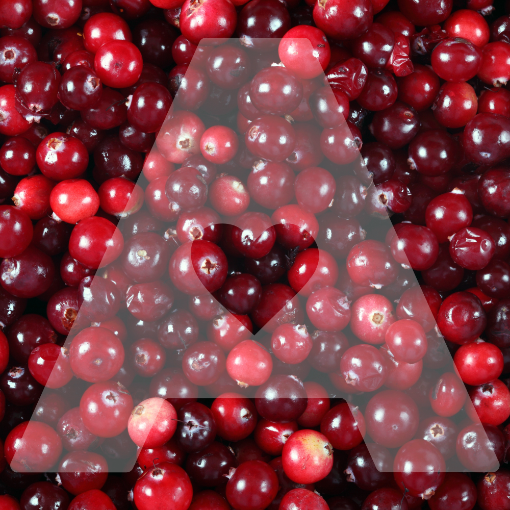 Agility Health Solutions