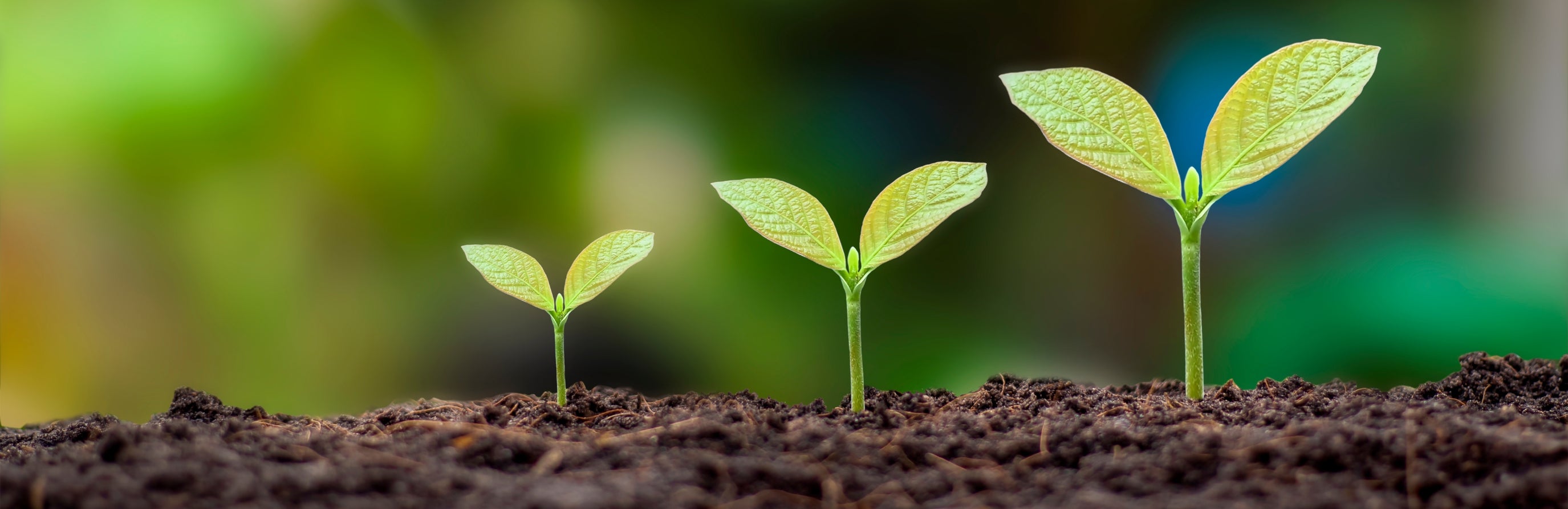 Agility Health Solutions