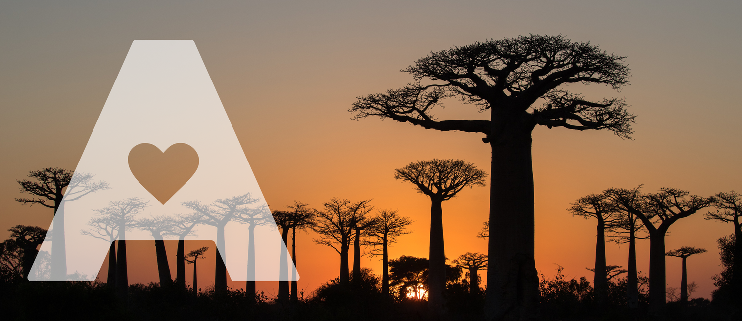 How Baobab Can Help Digestion