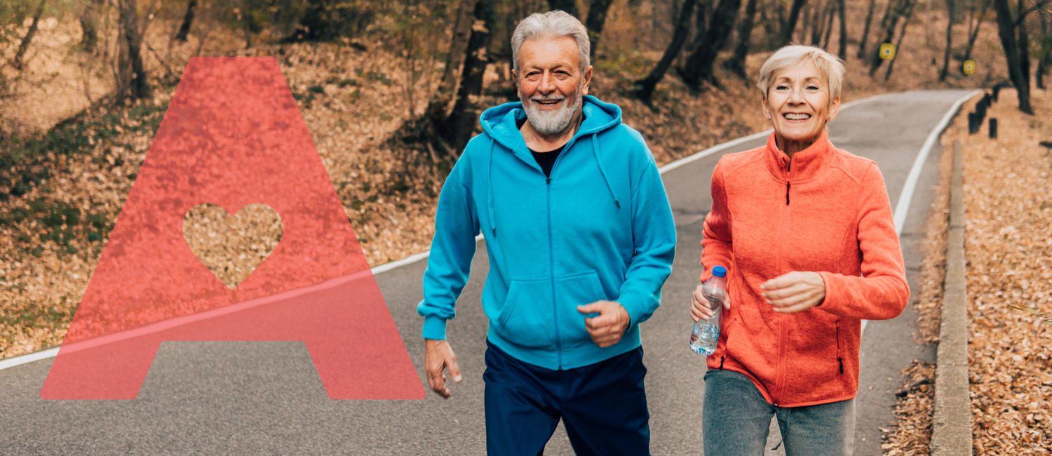 Full Body MOT Series – Exercise Health & Weight