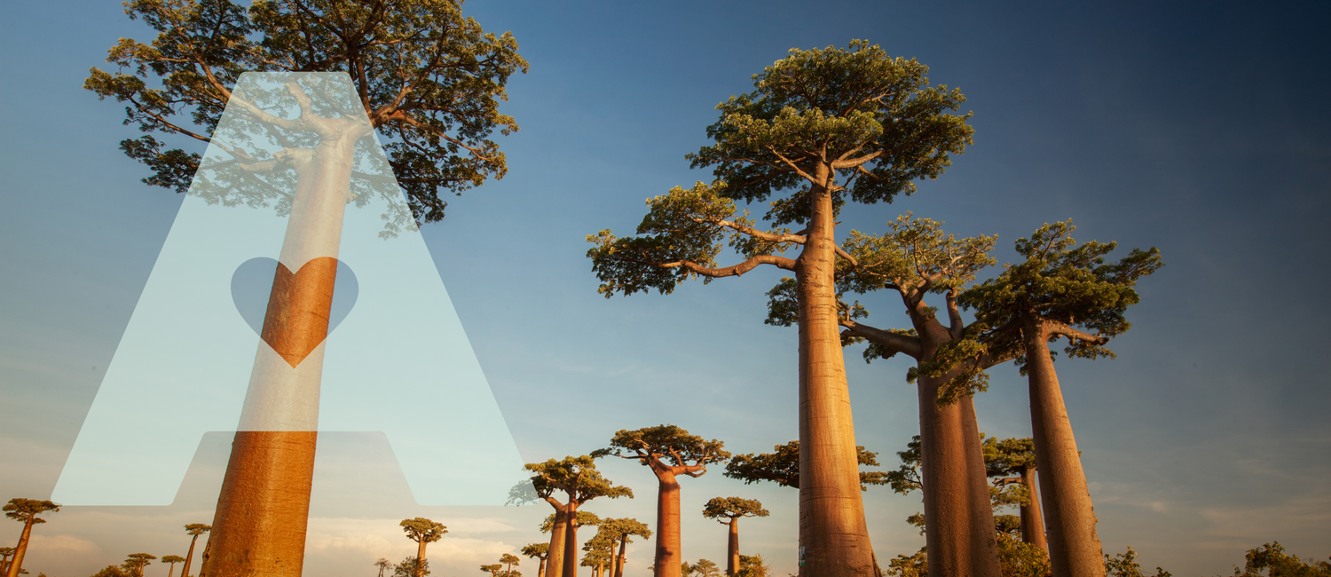 Baobab Benefits