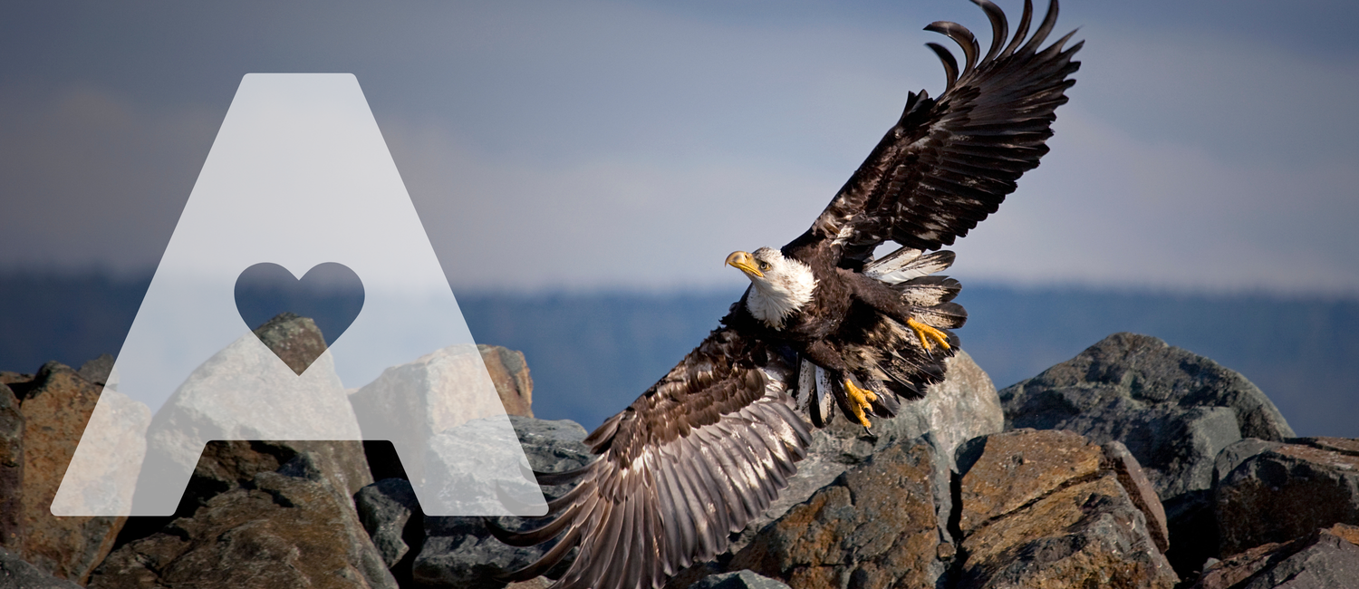 Flight or Fight: A Very Human Response