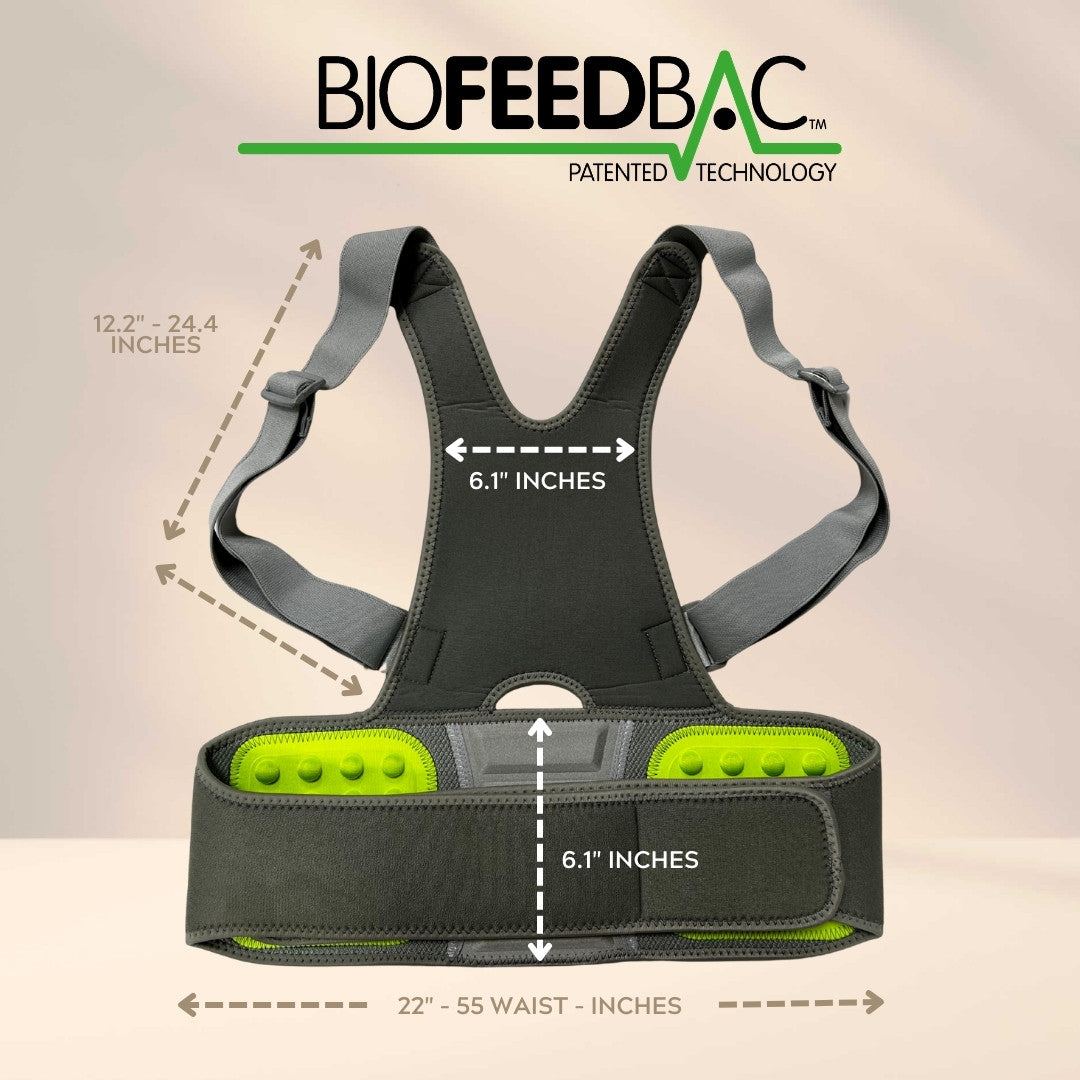 BioFeedBac™ BioPosture Back Corrector