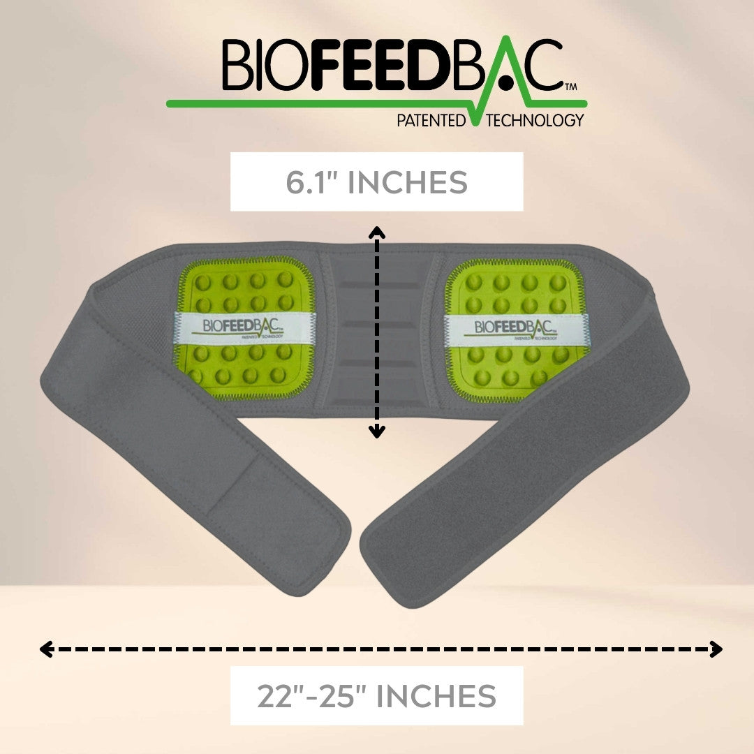 BioFeedBac™ Lumbros Belt