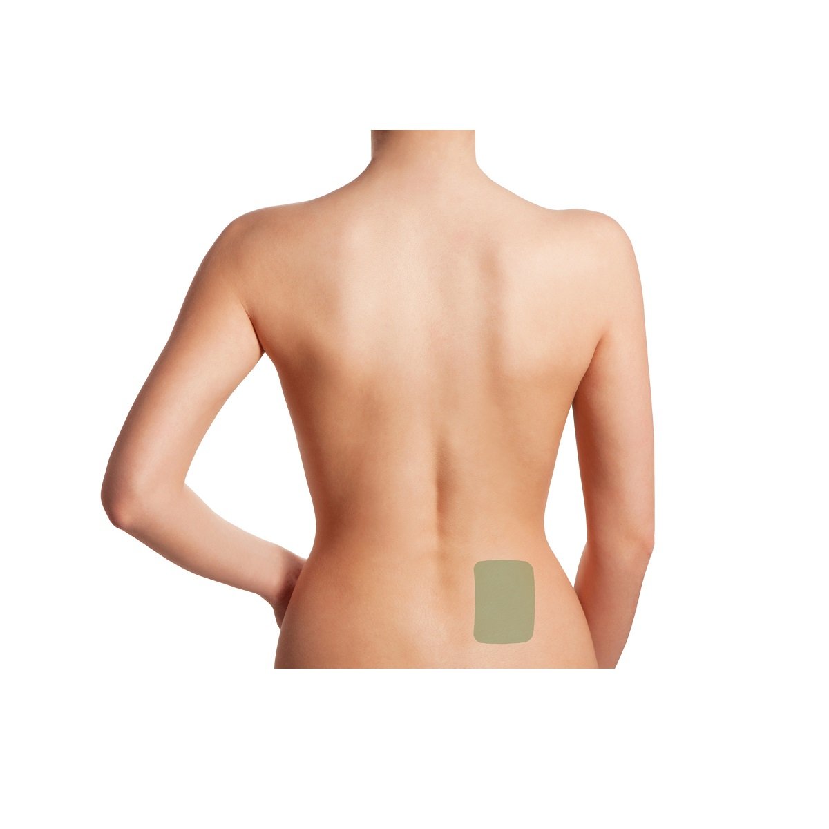 Bio Energiser Heated Hemp Patches by vytaliving